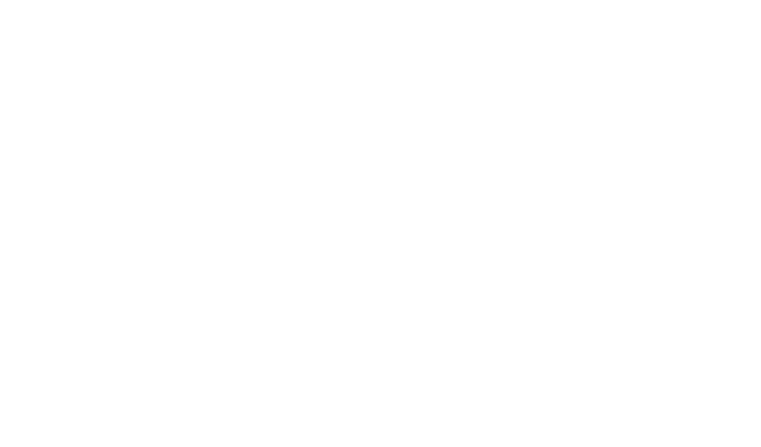 Zhang Wanli signature